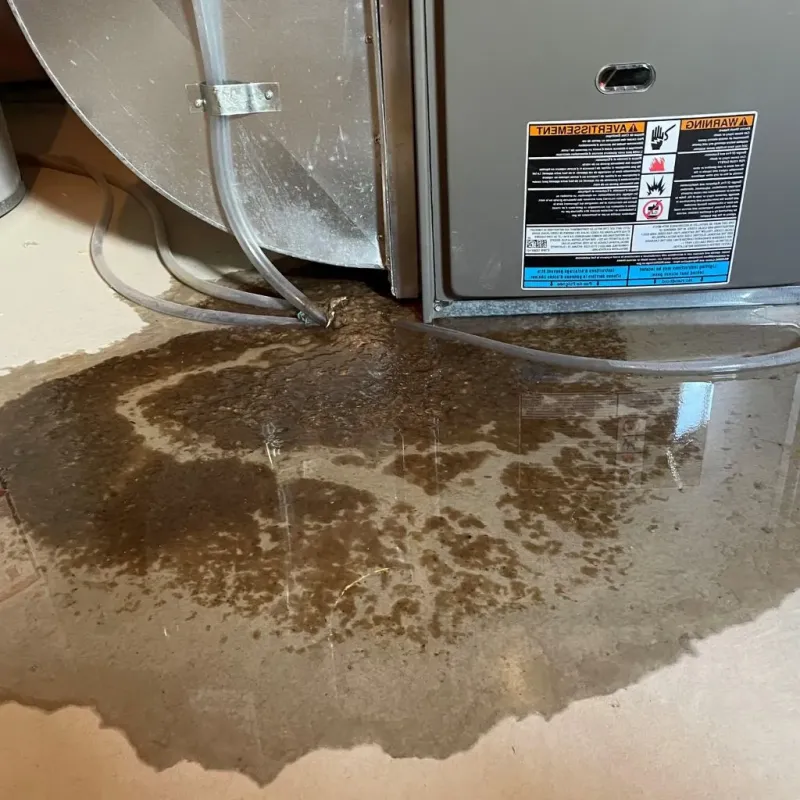Pipe Burst and Leak Restoration in Sixmile Run, NJ